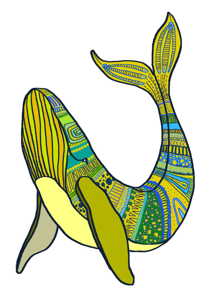 La ballena amiga de Xixili. Contacto